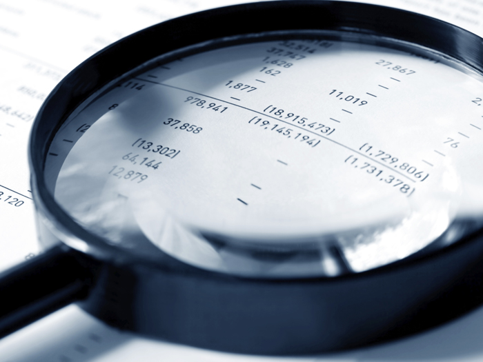 Magnifier over Figures