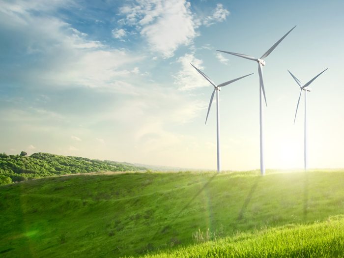 Wind generator turbines on summer landscape