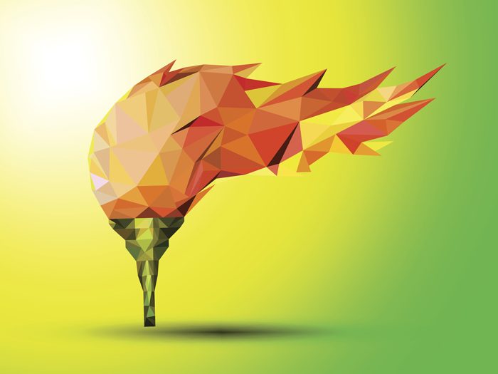 Torch on a green background red in the geometric style