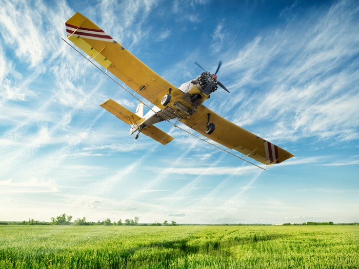 Agriculture, low flying yellow plane sprayed crops in the field